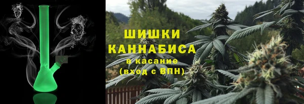 шишки Горняк