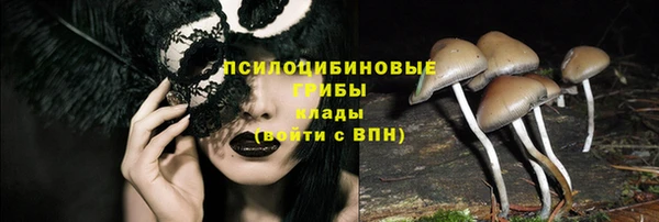 шишки Горняк