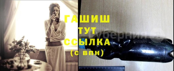 шишки Горняк