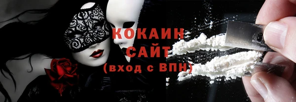 шишки Горняк