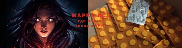 шишки Горняк
