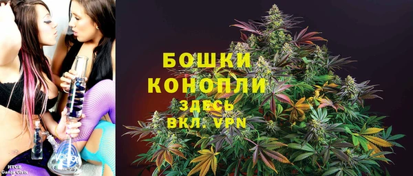 шишки Горняк