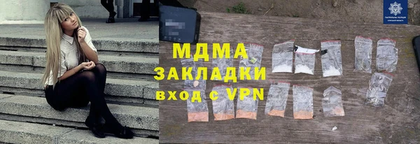 шишки Горняк