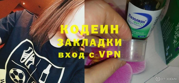 шишки Горняк