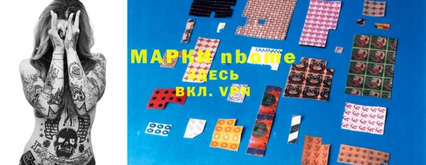 шишки Горняк
