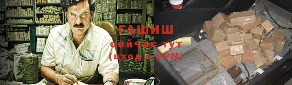 шишки Горняк