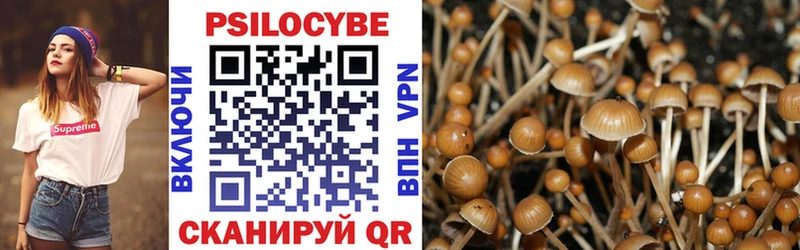 Псилоцибиновые грибы Cubensis Похвистнево