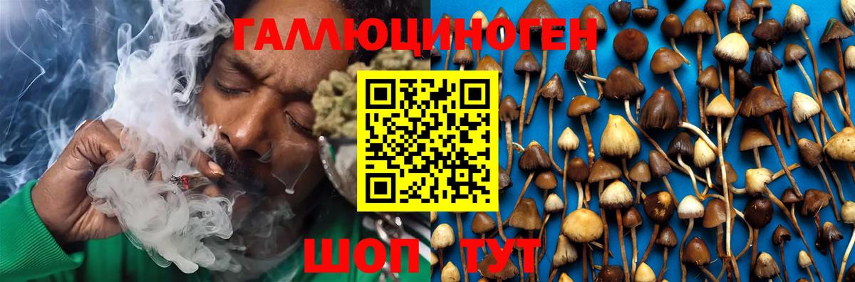 Галлюциногенные грибы Magic Shrooms Похвистнево